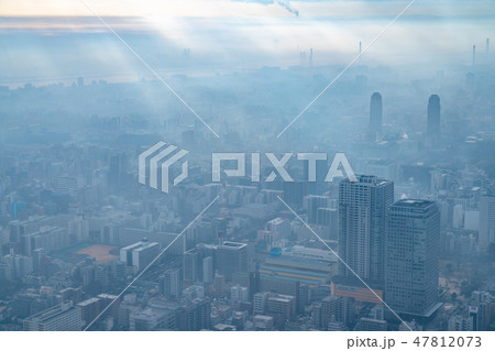 《東京都》霧に包まれた東京の朝 47812073