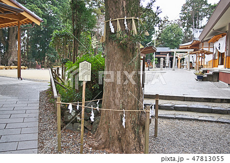 鳥羽市　神明神社　境内 47813055