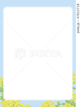 2月の背景 菜花のイラスト素材