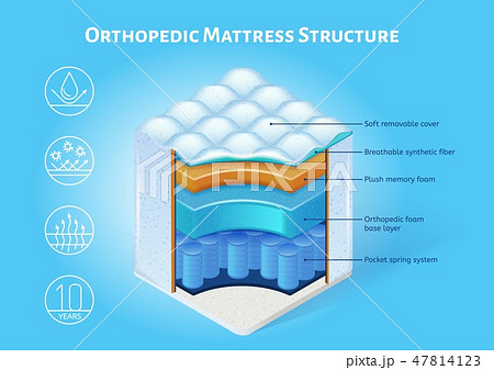 Orthopedic Mattress Structure Vector Scheme 47814123