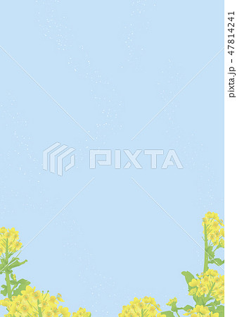 2月の背景 菜の花畑のイラスト素材 47814241 Pixta