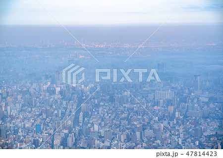 《東京都》霧に包まれた東京の朝 47814423