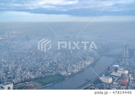 《東京都》霧に包まれた東京の朝 47814440