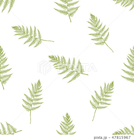 Seamless pattern with hand drawn pastel fern Seamless pattern with hand drawn pastel fern 47815967