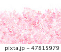 桜　和紙風　テクスチャー 47815979