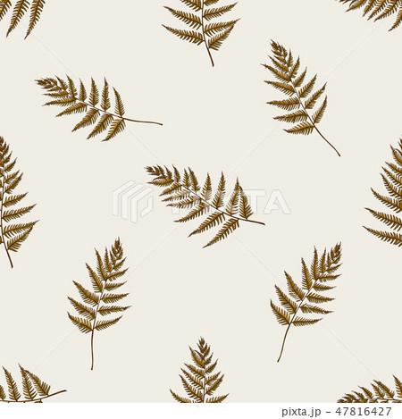 Seamless pattern with hand drawn colored fern 47816427