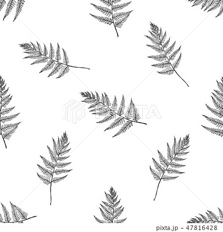 Seamless pattern with black and white fern 47816428