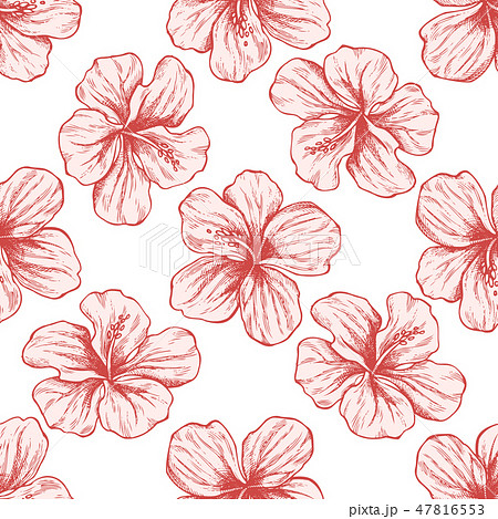 Seamless pattern with hand drawn pastel protea, hibiscus Seamless pattern with hand drawn pastel protea, hibiscus 47816553
