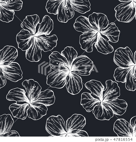 Seamless pattern with hand drawn chalk protea, hibiscus Seamless pattern with hand drawn chalk protea, hibiscus 47816554