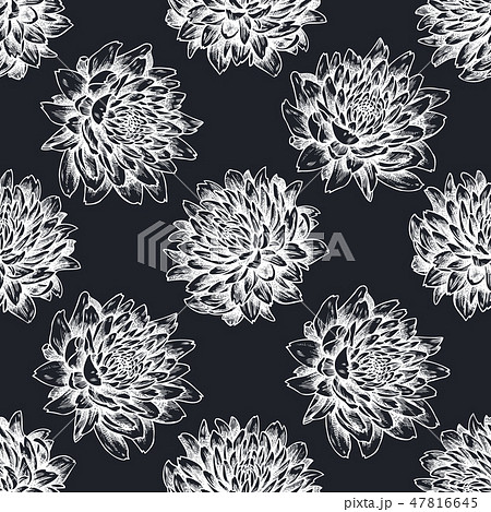 Seamless pattern with hand drawn chalk aster 47816645