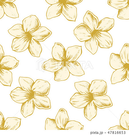 Seamless pattern with hand drawn pastel allamanda, vriesea 47816653