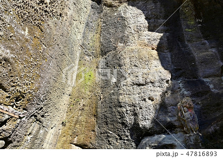 秩父34観音霊場31番観音院の不動仏と滝 47816893