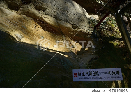 秩父34観音霊場31番観音院境内の古代の地層 秩父34観音霊場31番観音院境内の古代の地層 47816898