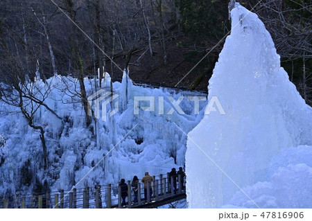 秩父尾ノ内百景氷柱と吊り橋 47816906