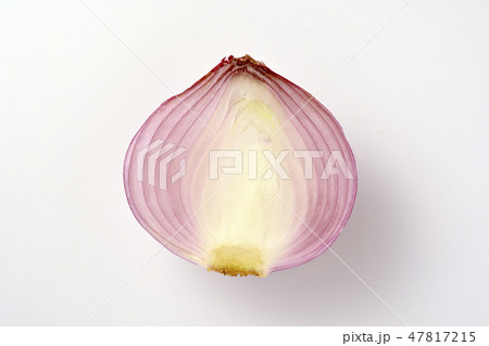 赤玉ねぎ縦切り断面 47817215