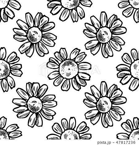 Seamless pattern with black and white chamomile Seamless pattern with black and white chamomile 47817236