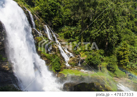 林 森 樹林 47817333