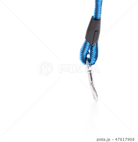 New blue dog chain on white background New blue dog chain on white background 47817908