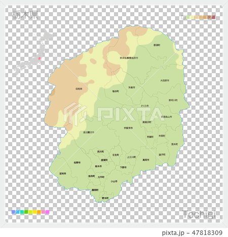 栃木県の地図 等高線 色分け 市町村 区分け のイラスト素材