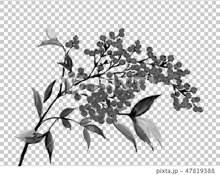 Minami watercolor ink black monotone 47819388