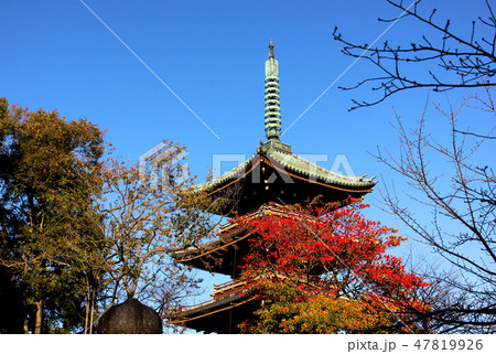 上野東照宮のぼたん苑から見た旧寛永寺五重塔(1) 47819926