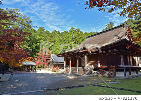 湖東三山、西明寺 47821370