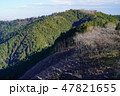 高尾山 47821655