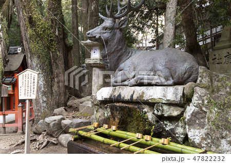 春日大社の伏鹿手水所 春日大社の伏鹿手水所 47822232