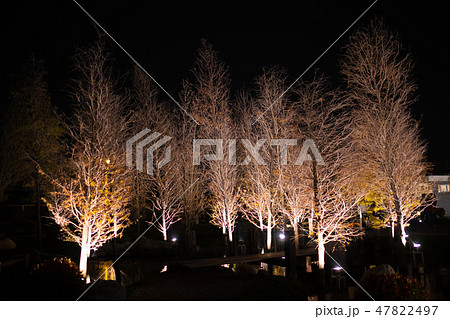 冬 ウインター ウィンター 47822497