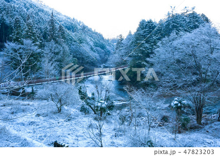 秋川渓谷の吊橋 47823203