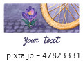 Watercolor crocus and bike's wheel on pavement. 47823331