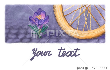Watercolor crocus and bike's wheel on pavement. 47823331