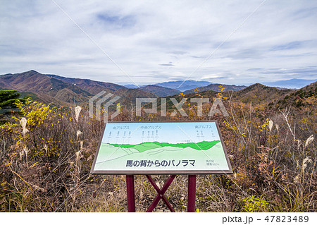 長野県 治部坂高原の紅葉 長野県 治部坂高原の紅葉 47823489