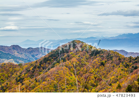 長野県 治部坂高原の紅葉 長野県 治部坂高原の紅葉 47823493