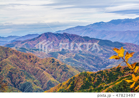 長野県 治部坂高原の紅葉 長野県 治部坂高原の紅葉 47823497