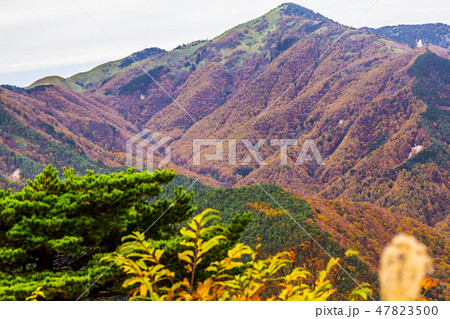 長野県 治部坂高原の紅葉 長野県 治部坂高原の紅葉 47823500