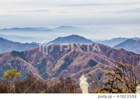 長野県 治部坂高原の紅葉 長野県 治部坂高原の紅葉 47823509
