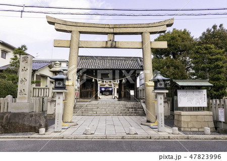 岡山　岡山神社　鳥居　随身門　拝殿 47823996