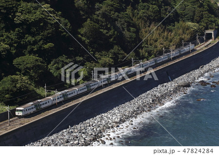 海岸沿いを行く、185系電車使用の特急踊り子 47824284