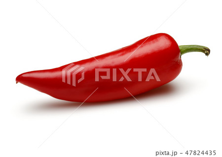 Fresh red pepper on white background Fresh red pepper on white background 47824435
