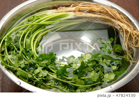 岡山パクチー 47824530