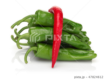 Fresh green and red pepper on white Fresh green and red pepper on white 47824612