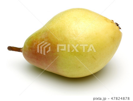Single pear fruit isolated on white Single pear fruit isolated on white 47824878