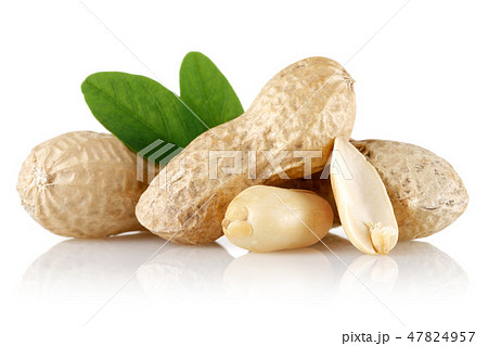 Peanuts and leaves isolated on white Peanuts and leaves isolated on white 47824957