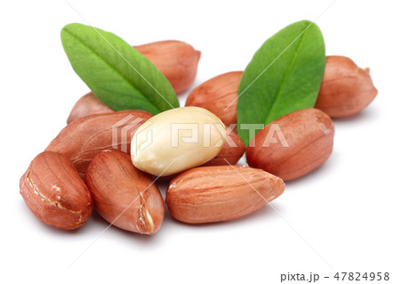 Peanuts and leaves isolated on white Peanuts and leaves isolated on white 47824958
