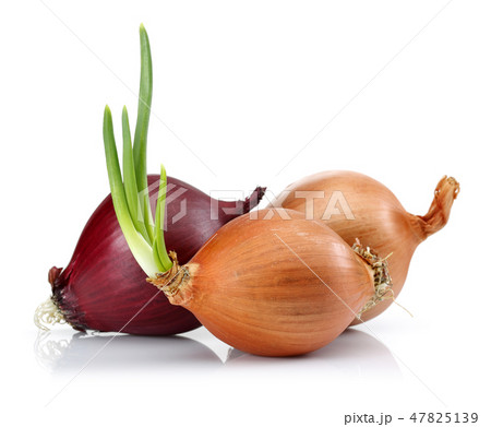 Yellow and red onion on white background Yellow and red onion on white background 47825139
