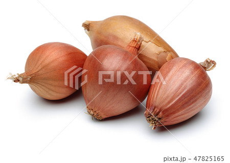 Yellow onion on white background Yellow onion on white background 47825165