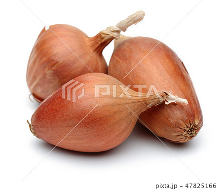 Yellow onion on white background Yellow onion on white background 47825166