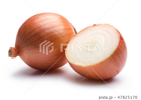 Yellow onion on white background Yellow onion on white background 47825170