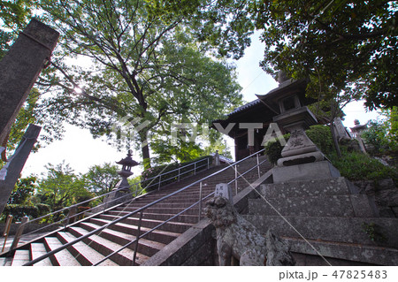 阿知神社 47825483